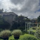 나문재 | 충남 태안 안면도 여행 분위기 좋은 대형 카페 나문재 카페 후기 및 방문 웨이팅 주차장 정보