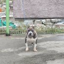 대림카정비 이미지