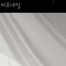 비유네일