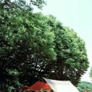 중유초등학교 이미지