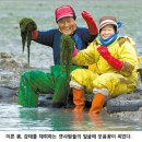 파르라니