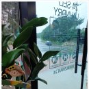 봉포셀프빨래방 | [고성/천진] 봉포빨래방 유목민 주목! 버블맨24 고성천진점 : 압도적 규모에 반한 찐후기
