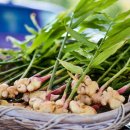 차호로록 이미지