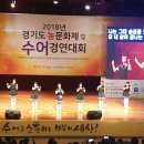 손빛