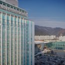 나루모텔 | 크리스마스 해운대 호텔 모텔 추천 해운대센텀호텔 해운대센텀호텔, 도심 속 안락한 휴양지