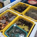 [경남/사천] 삼천포용궁수산시장 은진상회 후기, 정찰제라 편했던 사천 어시장