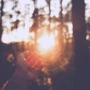 매일여인숙 이미지