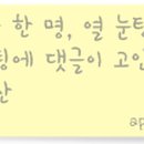 그루버드