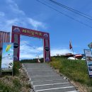 짚트랙 | 🪂 대천 짚트랙 후기 – 시원한 바다 위 짜릿한 한 방!