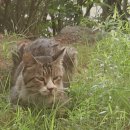 박창석종합동물병원 이미지