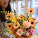 플라워피부과의원 이미지