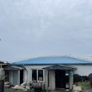 다와국수 이미지