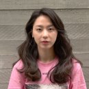 시영드라이 이미지