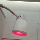 365구구한의원 이미지