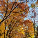 프리월드 이미지