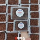 떡전미용실