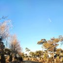 리버사운드 이미지