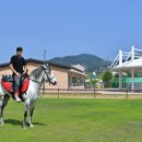 달리자 이미지