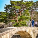 솔바람사이길 | 경남 양산 사찰 통도사, 김해 가볼만한 곳 홍매화와 함께 한 여행 후기