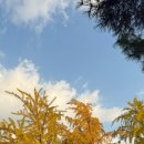 장미공원자전거대여소 이미지