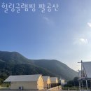팔공산글램핑 이미지