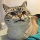 뚜룹