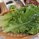 한우예가 | 삽교맛집 찾는다면 여기! 예산곱창타운맛집 예가곱창 솔직후기