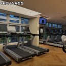 스포데이휘트니스두정점