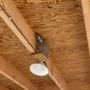 연당낚시터 이미지