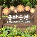 올림픽공원 인조잔디축구장 이미지