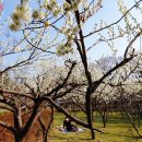 1순환로(3-179) 이미지