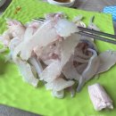 갈릴리횟집 이미지