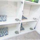 베베호텔 유치원 & 애견스파 이미지