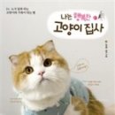 고양이집사 이미지