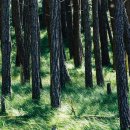 힐링의 바다 이미지