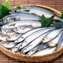 백세건강식품
