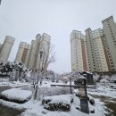 원주혁신도시토평공인중개사사무소 | 원주중흥프라디움 원주 중흥프라디움 단지에서의 부동산 거래 후기