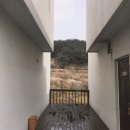 우포5마일펜션