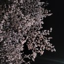 하모니카(야간) 이미지