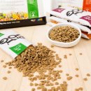 닥터펫푸드 이미지