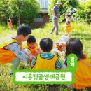 자연학습공원 | 깨비의숲마을 시흥갯골생태공원 자연 체험 학습 후기 4가지 매력