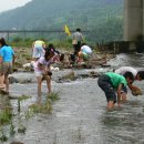 진정초등학교 이미지