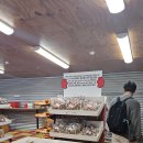 타임팩토리