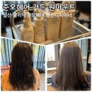 반딧불 애견 미용실 | 일산미용실 킨텍스 일산 클리닉 잘하는 곳 준오헤어 가든 원마운트 성은 디자이너 클리닉 후기