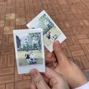 유앤아이태권도 | 세인이의 인.친들 그리고 축제