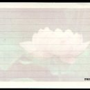 부산연제우체국 이미지