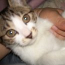 망우동-016 이미지