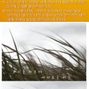 대한민족 이미지