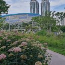 부개공원 이미지