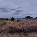 지에스25 신양점 이미지